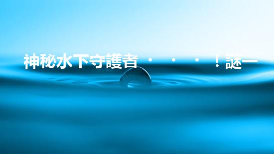 神秘水下守護者！謎一般的清淤泥機器人，揭開它的神秘面紗！